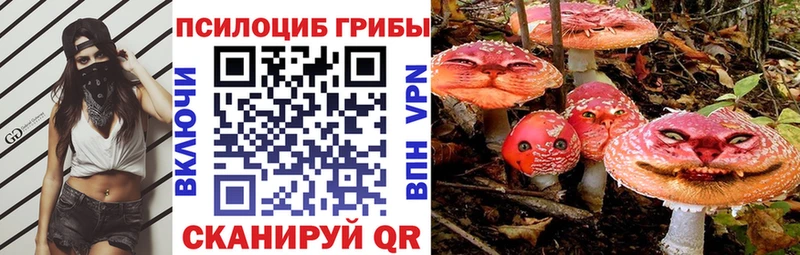 Купить закладки  Йошкар-Ола  Псилоцибиновые грибы MAGIC MUSHROOMS 